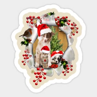 Celebrating Christmas with pet-lovers Sticker